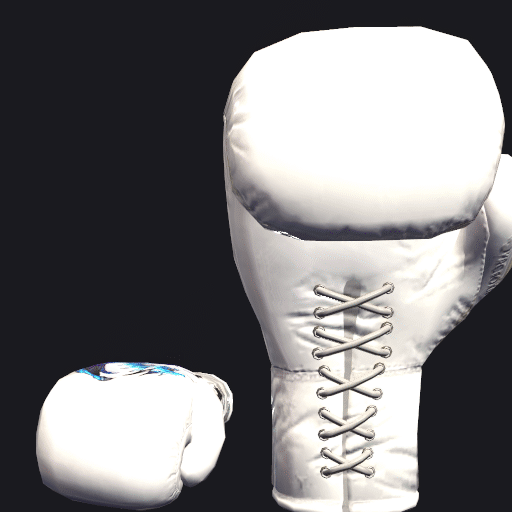 File:VRC BOXING glove - Freed.gif