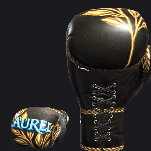 File:VRC BOXING glove - Laurel.gif
