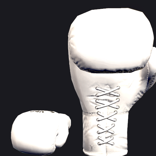 File:VRC BOXING glove - Standard White.gif