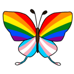 Pride butterfly