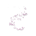 Sakura Breeze (Premium)