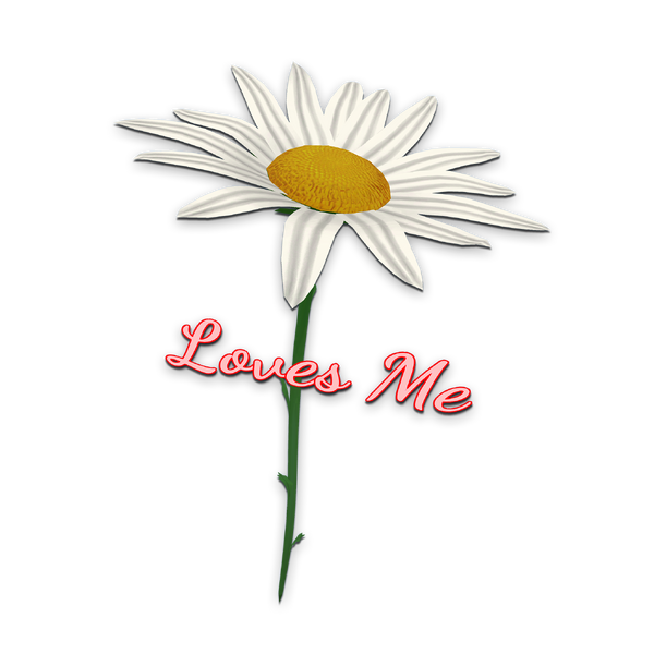 File:Item Love Me Daisy.png