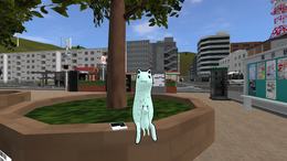 Akyo sitting by Haihocho Station