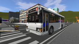 City Bus Service