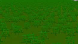 Find "W" in Grass