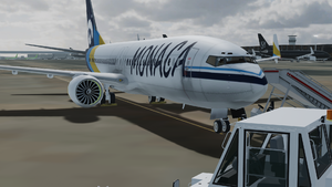 M738 on Jet Airliner Flight.png