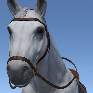 MadnessHorse.png