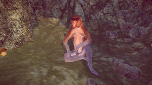 "Nosacz" (proboscis monkey[23] species) / "Janusz"[24] (name, similar to Karen or Chad) - a pejorative term depicting a stereotypical middle aged Pole man with satirical look that's characterized by a greedy and demanding nature.