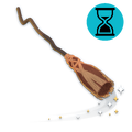 Thumbnail for version as of 00:19, 2 October 2026