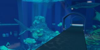 The centerpiece of the Saltwater Section.