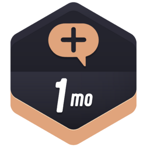 Tenure Months 1.webp