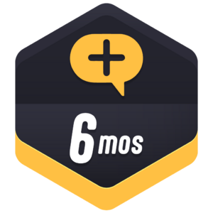 Tenure Months 6.webp
