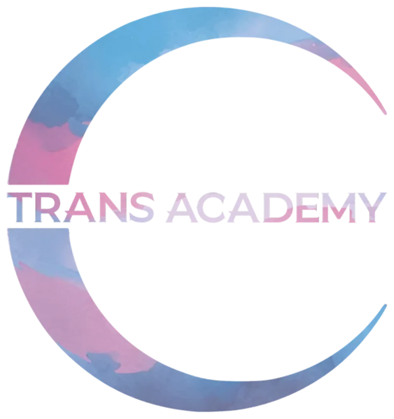 File:Trans Academy Logo.webp