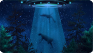 Abduction