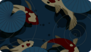 Koi