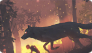 Wolf Running