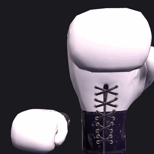 VRC BOXING glove - Acrux.gif