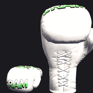 VRC BOXING glove - COA.gif