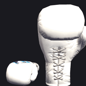 VRC BOXING glove - Freed.gif