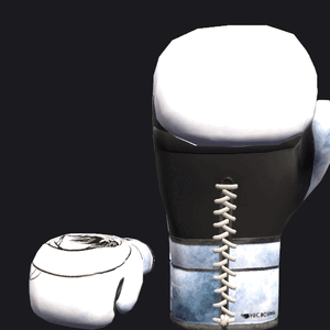 VRC BOXING glove - JpTraditional Tempest.gif
