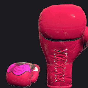VRC BOXING glove - Kwonta.gif