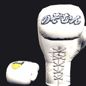 VRC BOXING glove - Nozomun.gif