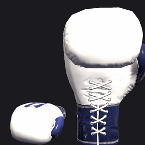VRC BOXING glove - PrecisionBoxing.gif