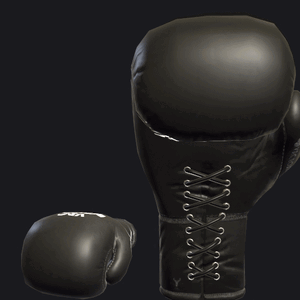 VRC BOXING glove - Standard Black.gif