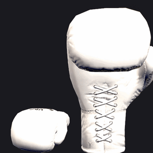 VRC BOXING glove - Standard White.gif