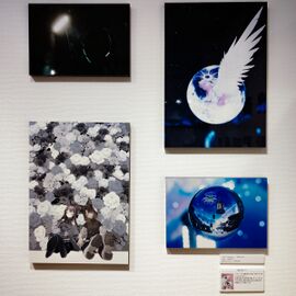 Works by Nano capturing VRChat world landscapes.