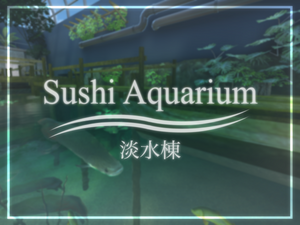 Wrld 37c10a9d-cd69-4a76-8447-b5c916ffaa22 imageUrl.png